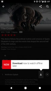 Modo Netflix Offline