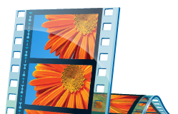 Conheça o novo Windows Photo Gallery e o Movie Maker 2012