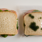 Anti-Theft Lunch Bags 2