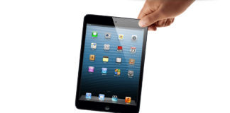 Mulher descobre o verdadeiro significado de gato por lebre…