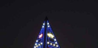 Feliz Natal Arvore de natal