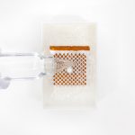 The-Drinkable-Book-Is-Designed-To-Purify-Water-2