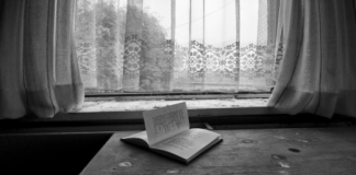 Pare de ler livros “apenas”