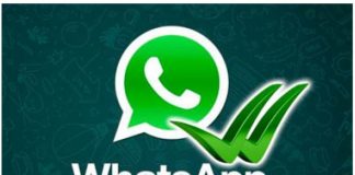 Whatsapp agora permite saber quando mensagens foram lidas