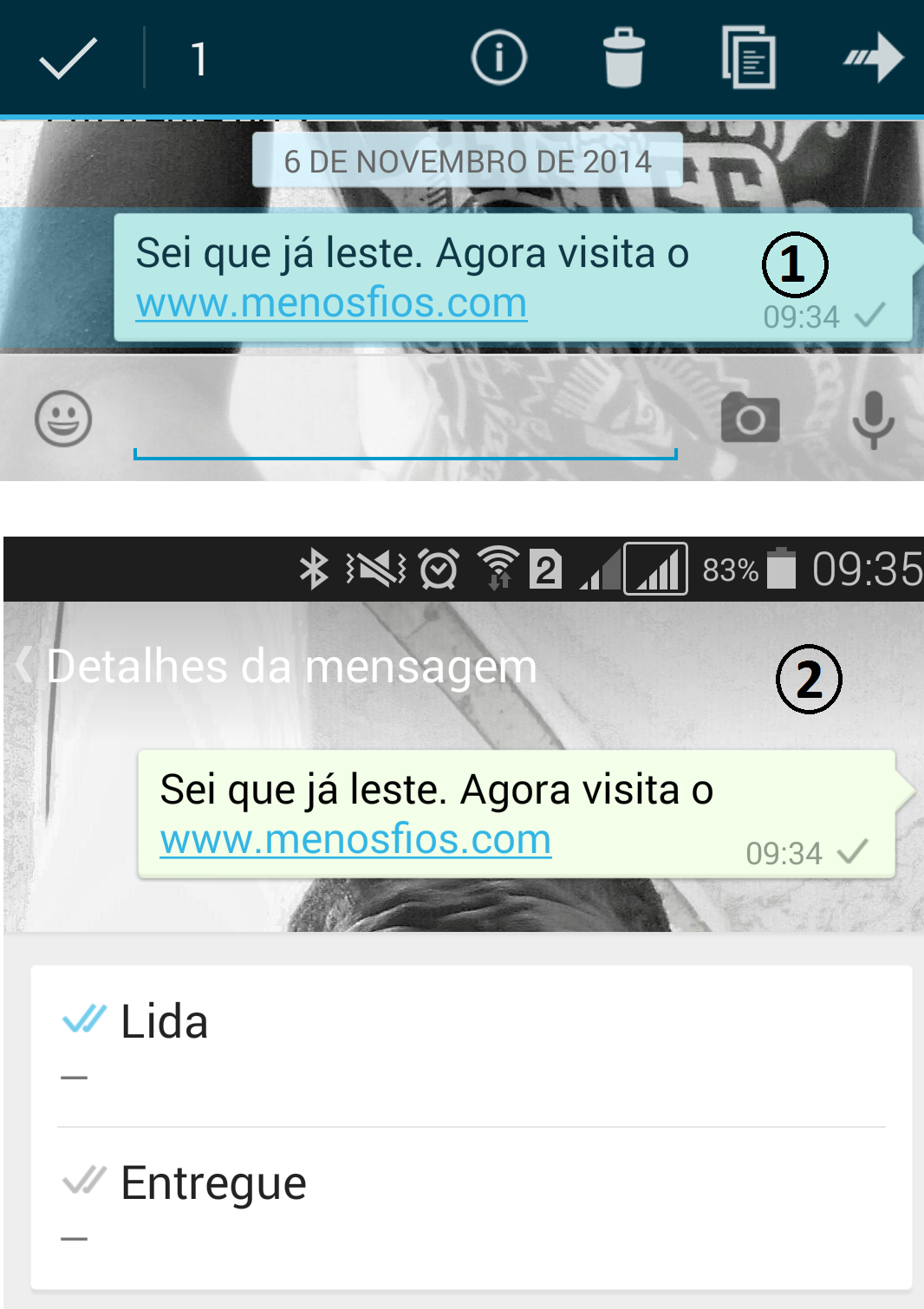 Whatsapp Actualização