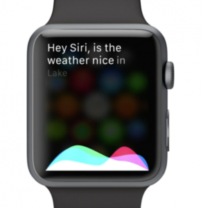 Apple Watch Siri