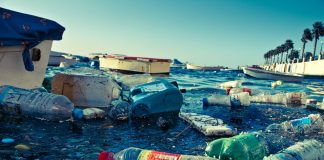 Bactéria devoradora de plástico foi descoberta por cientistas japoneses