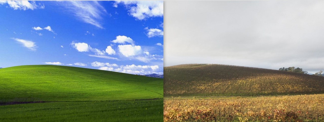 Windows XP Defaul Wallpaper_environment