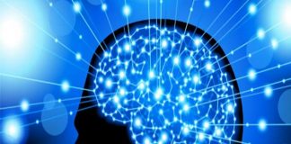 Ondas cerebrais poderão substituir as senhas actuais