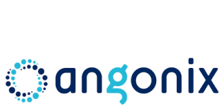 Angonix registou recentemente o seu maior pico de tráfego