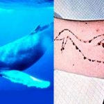 O jogo Baleia Azul-menosfios