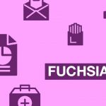 Fuchsia_Menos Fios