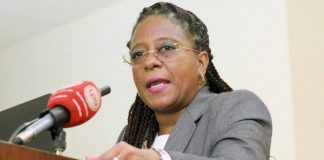 Conheça a nova ministra do Ensino Superior, Ciência, Tecnologia e Inovação