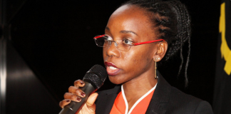 Sucesso de vendas: 65% da banda KU do AngoSat-1 foi vendida