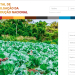 Portal e aplicativo para divulgação da produção nacional – Menos Fios