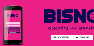 BISNO: a plataforma de serviços no mercado informal