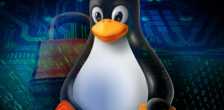 TCP “SACK Panic” – Vulnerabilidades no Kernel do Linux descobertas por um Engenheiro da Netflix