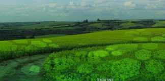 Seedstars e Fundação DOEN procuram startups que lutem contra a degradação do solo