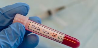 Modelagem poderá ajudar na redução da propagação da Ébola