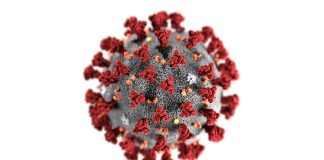 Coronavírus força as empresas a se tornarem digitais