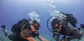 Cabo submarino SAT-3/WASC novamente operacional