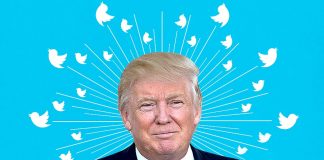 Hacker holandês invadiu Twitter de Trump e revela senha