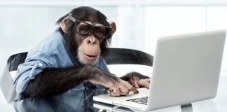 Neuralink instala chip em Macaco que aparece em vídeo a jogar pong “telepaticamente”