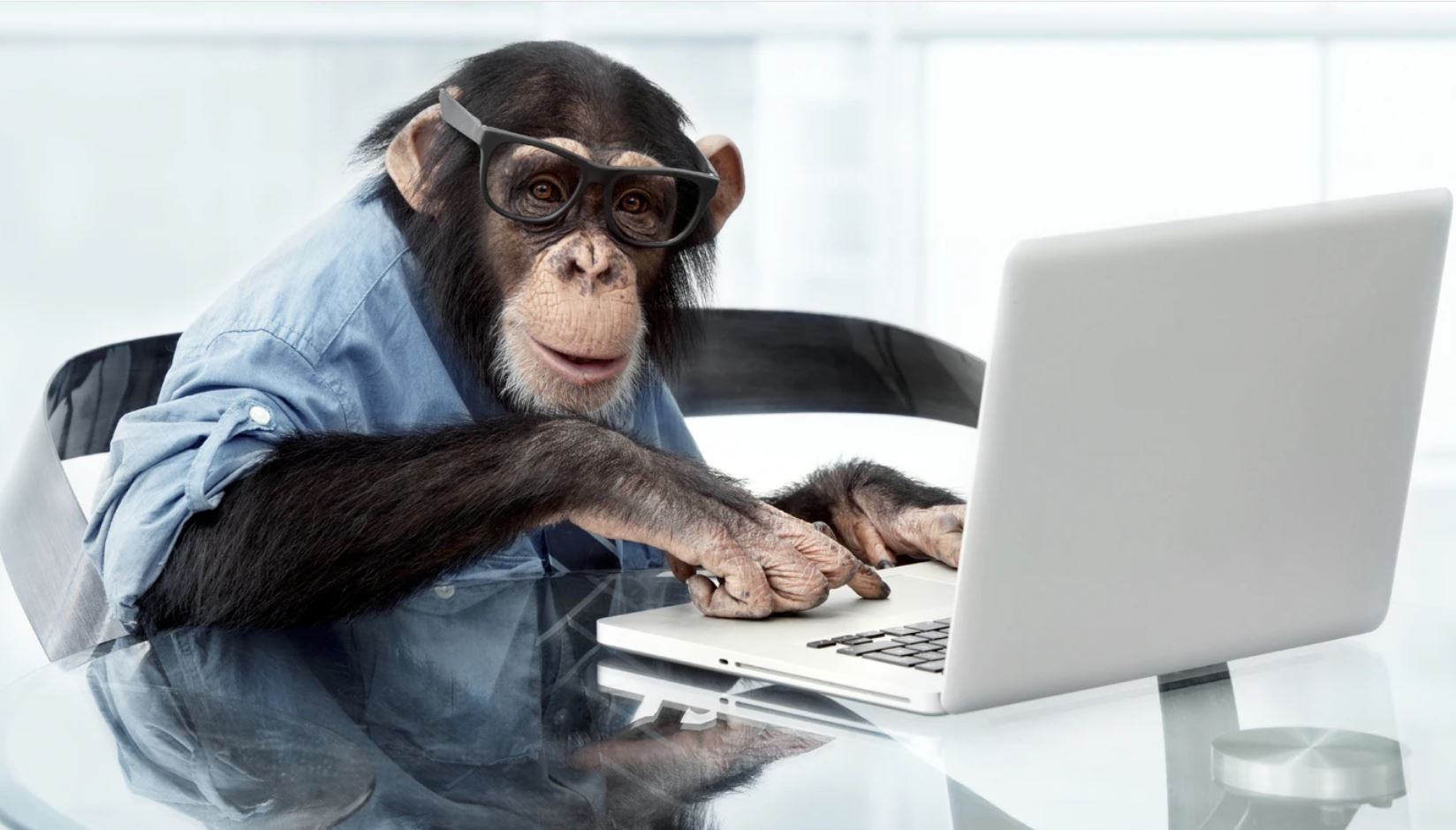 Um homem paralisado está desafiando o macaco da empresa Neuralink