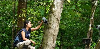 Tecnologia para o meu amigo D. Tirso bassular a desmatação do “moxico dele”