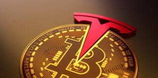 Tesla e Bitcoin: Elon Musk arrependido da decisão?