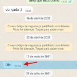 pplware_whatsapp_denunciar_mensagens_4