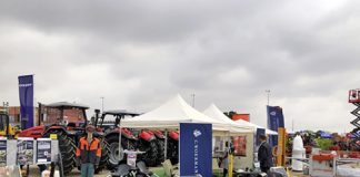 Mulheres representaram 40% da comitiva angolana no iENA 2021