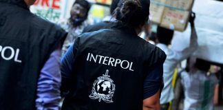 Crimes Cibernéticos: Interpol detém mais de 1.200 pessoas em África