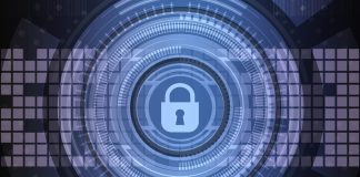 Dia Internacional da Proteção de Dados: acha que os seus dados estão seguros?