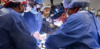 Primeiro coração de porco geneticamente modificado é transplantado para um humano