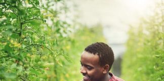 Katapult procura as melhores startups agroalimentar e climáticas de África. Saiba como inscrever-se ao programa