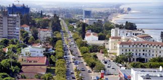 Moçambique passa a contar com um sistema informatizado de gestão de florestas