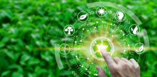 BFA Global e FSD África investem milhões de dólares para impulsionar startups climáticas em África