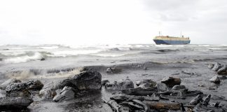 ANPG testa serviço do GGPEN para monitoramento de derrame de petróleo