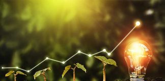 Empresários europeus manifestam desejo de investir no hidrogénio verde em Angola