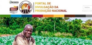 Portal da Divulgação da Produção Nacional sofre restruturação para melhor servir a população