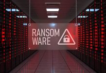 As primeiras 24 horas após um ataque de ransomware – o que deve fazer?