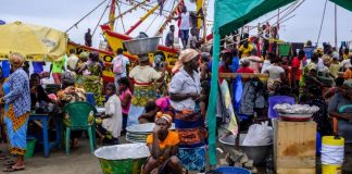 África cria plataforma digital de compra conjunta de cereais e fertilizantes