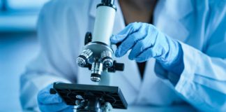 União Africana defende investigação científica em todo o continente