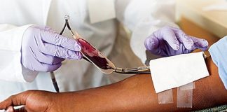 Investigadores angolanos criam aplicativo móvel para gestão de dadores de sangue