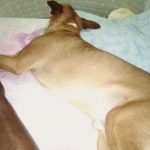 IMG_20221110_210534
