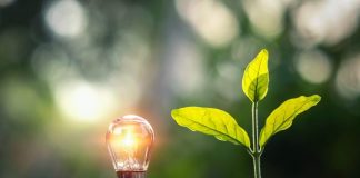 Executivo já investiu mais de 3 mil milhões de dólares em energia verde