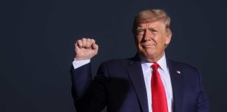 Meta restabelece contas do Facebook e Instagram de Donald Trump