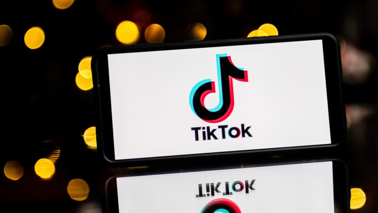 Conheça os países que já restringiram acesso ao TikTok