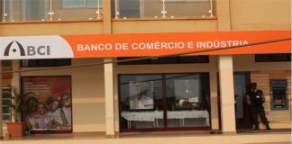 BCI vai financiar startups viradas ao agronegócio no Angola Startup Summit 2023